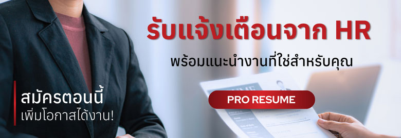 Pro Resume