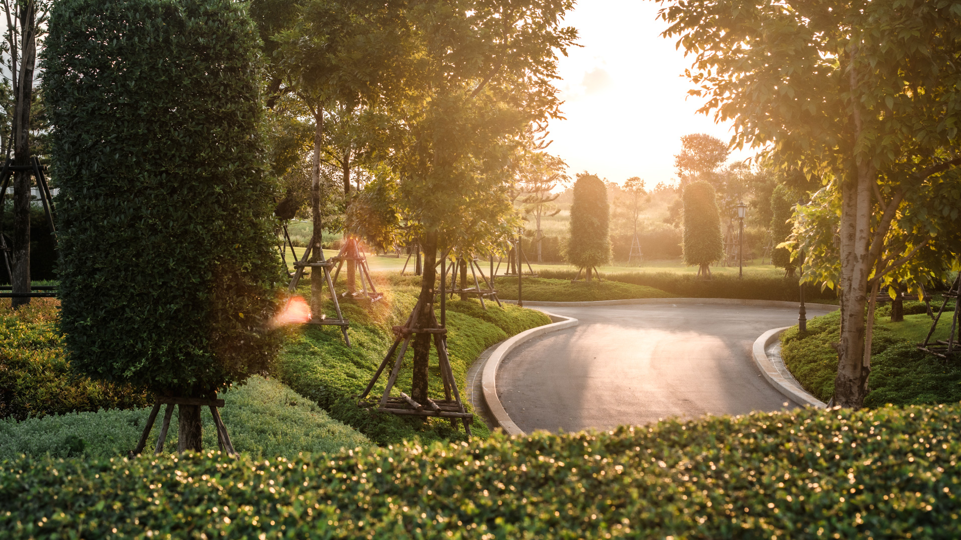 โครงการเรนวูด พาร์ค ลำลูกกา คลอง 11 (บริษัท อาร์ดับบลิว เวลเนส จำกัด)