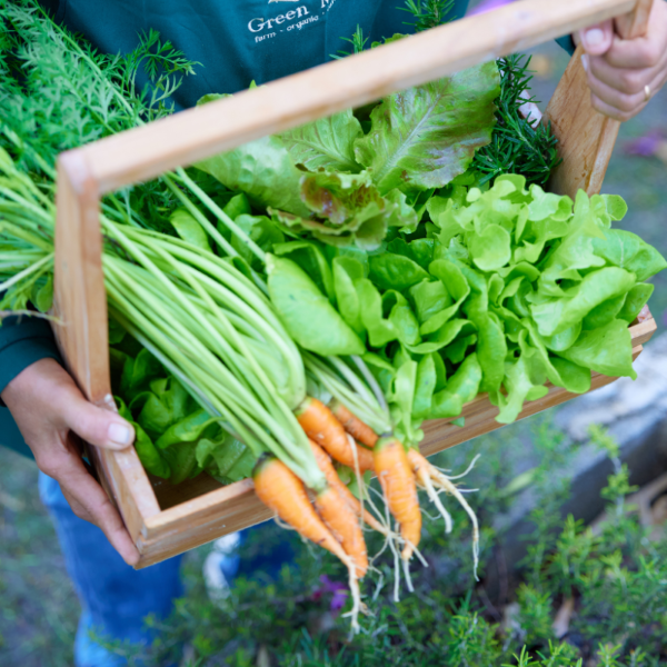 บริษัท กรีนมี กรุ๊ป จำกัด