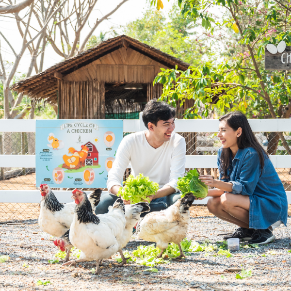 บริษัท กรีนมี กรุ๊ป จำกัด